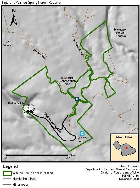 Map of Waihou Spring Forest Reserve and trail (Map courtesy of DLNR)