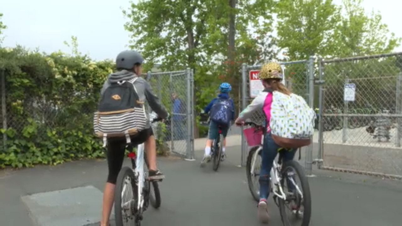 bicycle learning school near me