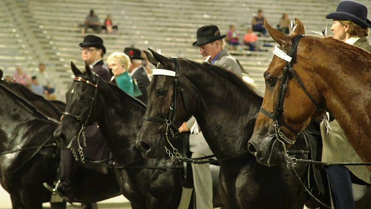 Shelbyville, TN The Heart of Horse Country