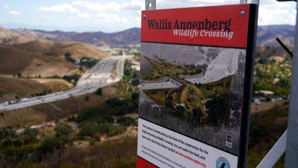 An overview of the Wallis Annenberg Wildlife Crossing, which will eventually be built over the 101 Freeway, Tuesday, Sept. 20, 2022, in Agoura Hills, Calif. About $110 million in federal grants have been approved for more than 19 projects intended to fund similar crossing projects across the country. (AP Photo/Marcio Jose Sanchez)