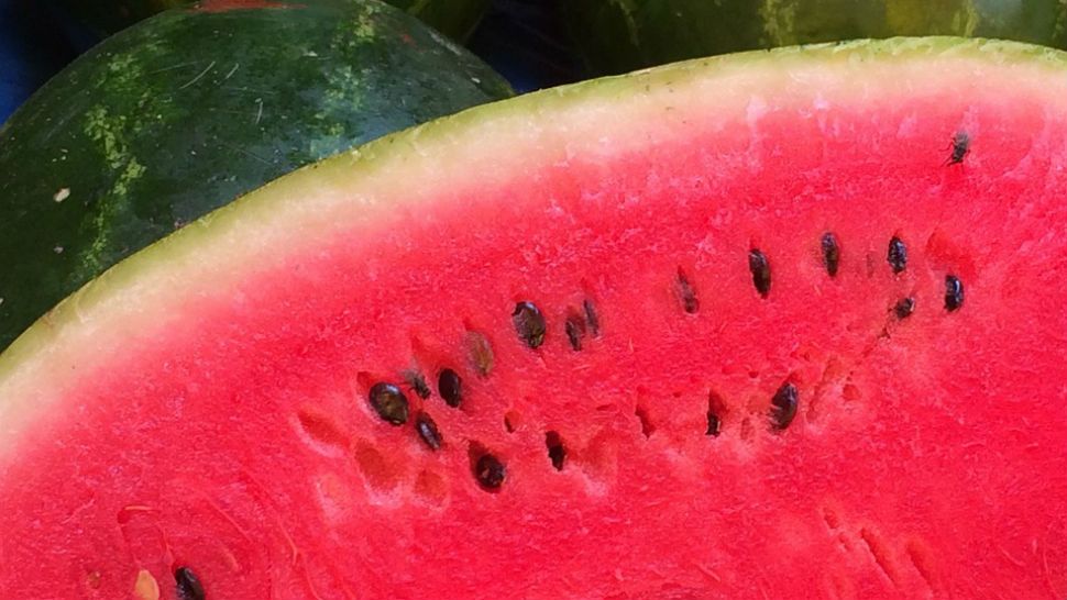 FILE- Watermelon. 
