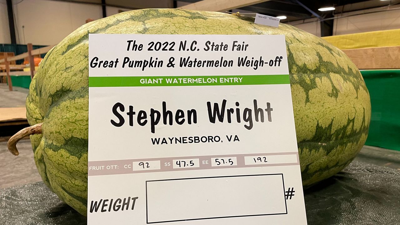 The Agri-Supply Expo Center at the N.C. State Fairgrounds played host Tuesday to an annual competition for the heaviest watermelons and pumpkins. (Spectrum News 1)