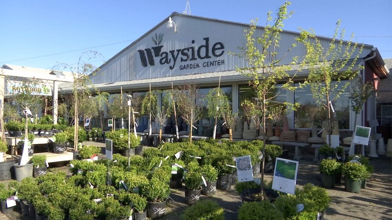 Customers Flocking to Rochester Garden Centers, Greenhouses