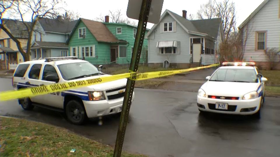 Dog Injured in Rochester Shooting