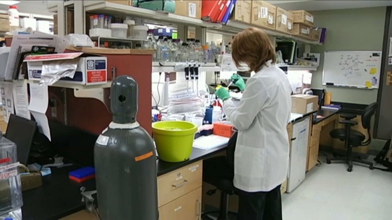 Department of Health To Address Findings of Cancer Study