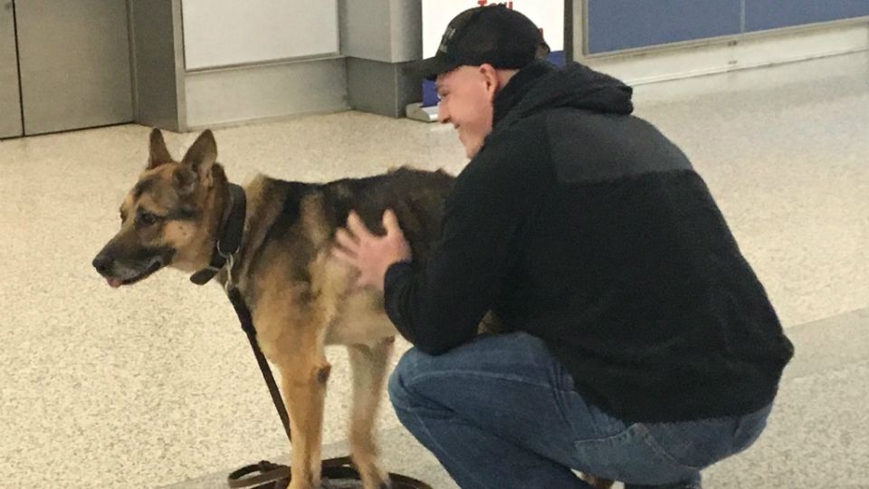 Retired U.S. Marine canine handler reunited with his former military ...