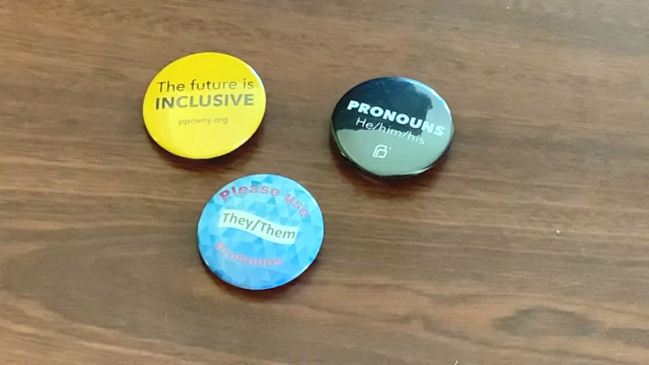 Normalizing Gender Neutral Pronouns