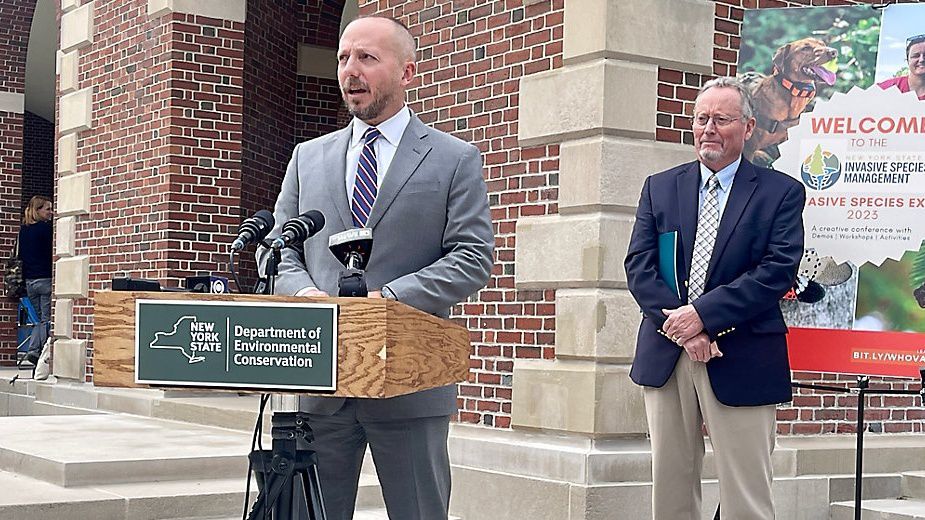 DEC chief 'optimistic' about spending amid budget concerns - Vimarsana News
