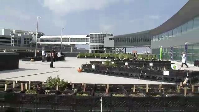 JetBlue’s New Farm at JFK Explores Farm-to-Flight Production