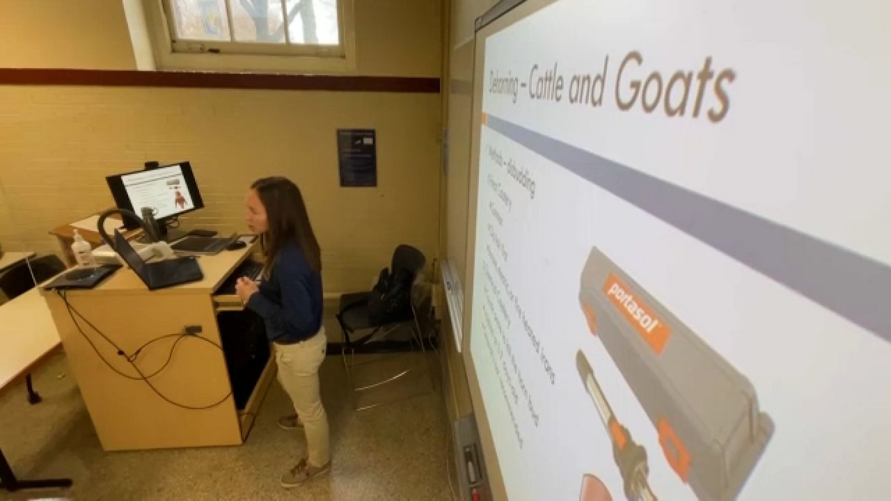 Inside the Shortage Vet techs and academia