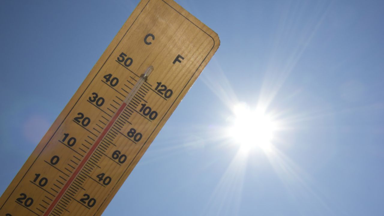 Cars get dangerous in the heat