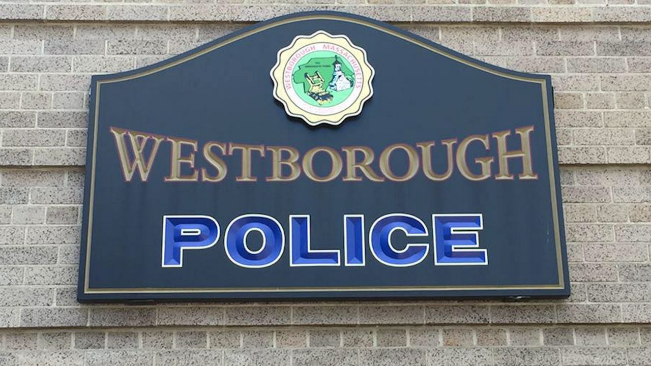 Westborough Announces Unleashing Of New Dog Restrictions