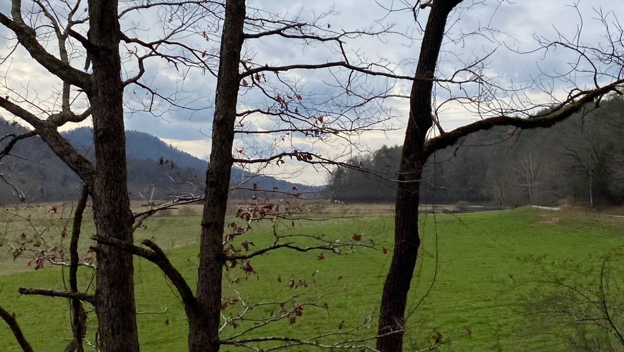 Pisgah and Nantahala National Forests cover more than 1 million acres in North Carolina. A new forest management plan, in the works for a decade, opens half of the forests to logging. (Charles Duncan/Spectrum News 1)