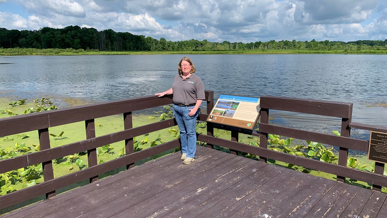 Importance of protecting Ohio's wetlands - Vimarsana News