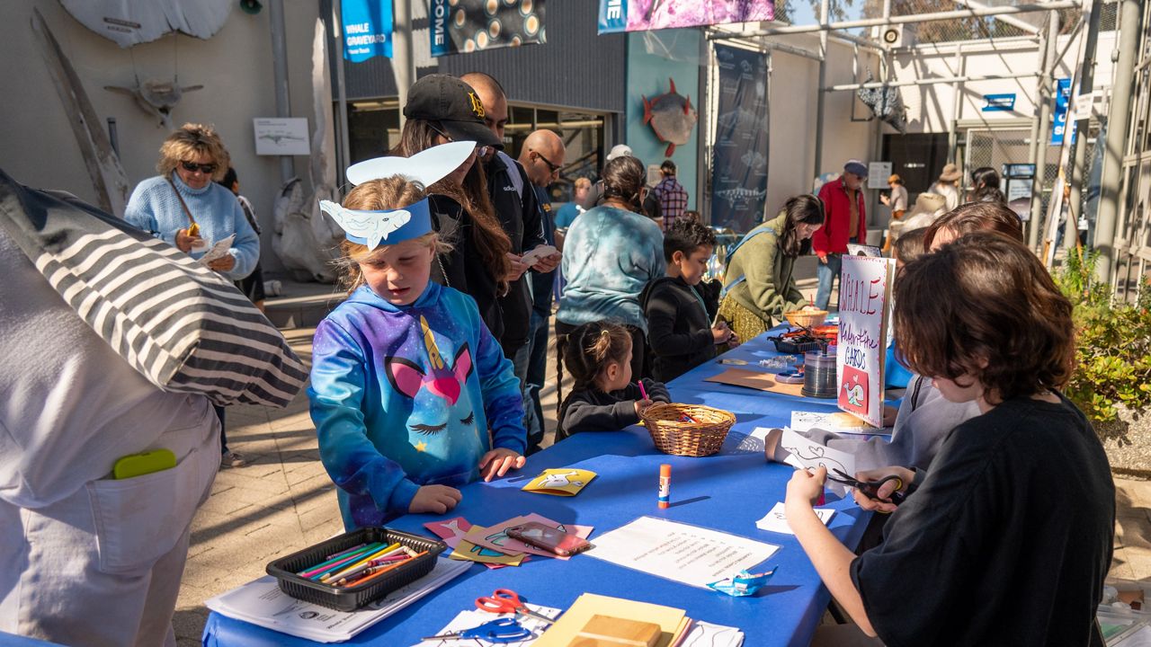 Whale Fiesta celebrates the mammals' migration