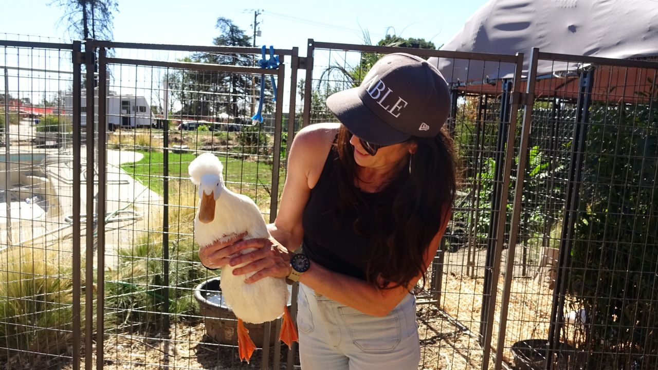 Grants help small businesses continue after the LA County fires