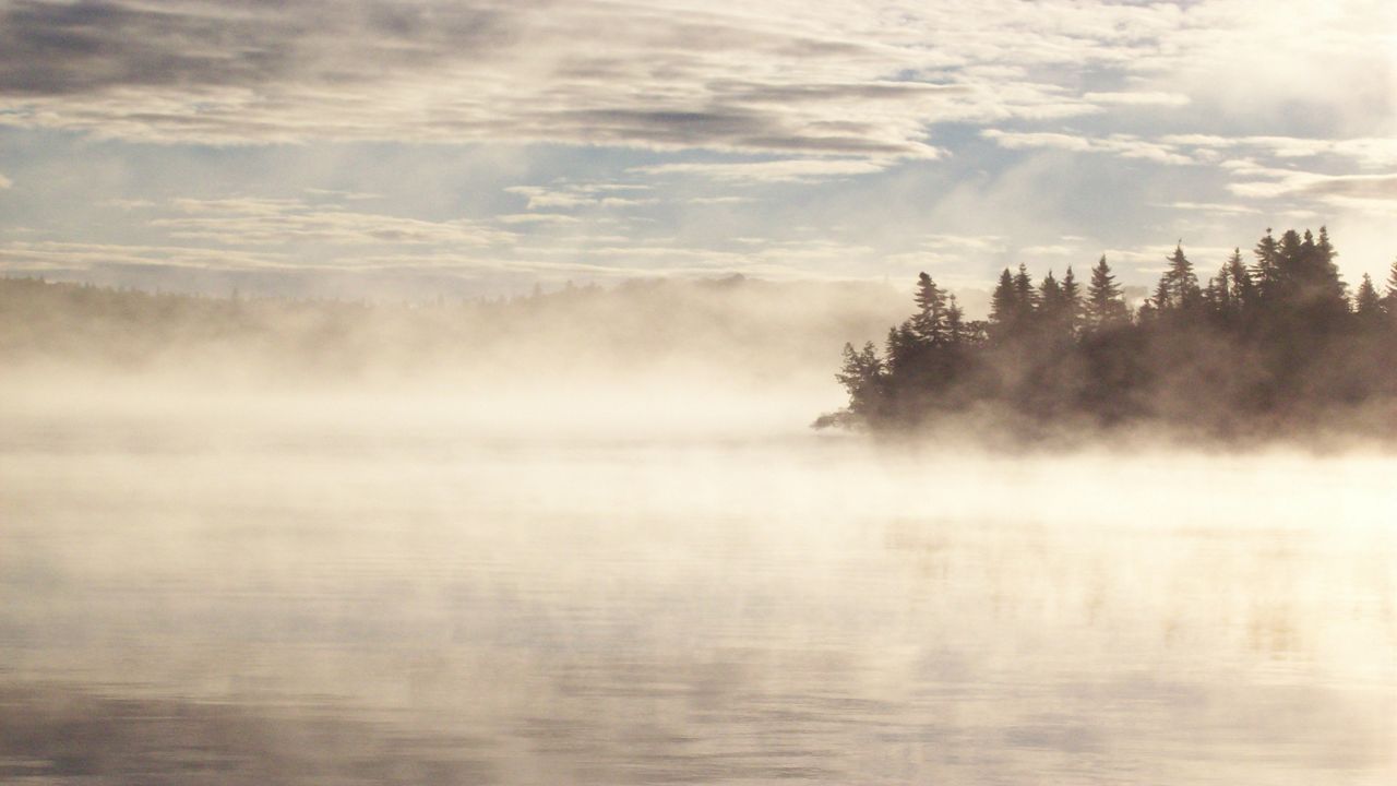 Different types of fog and how they form