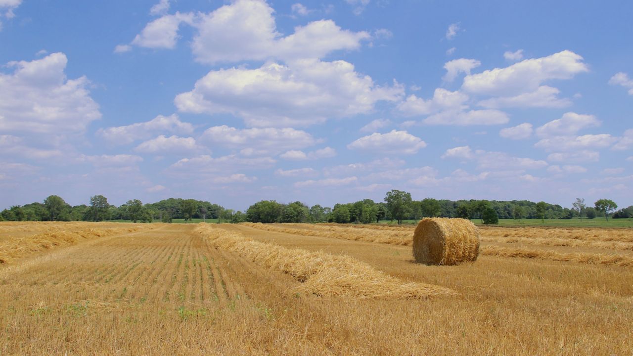 partly cloudy sky