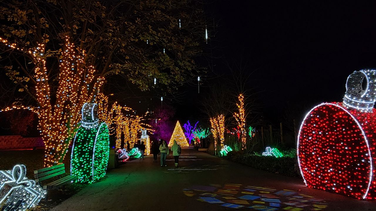 Wild Winer Lights at the Cleveland Metroparks Zoo in 2023. (Spectrum News 1/Lydia Taylor)