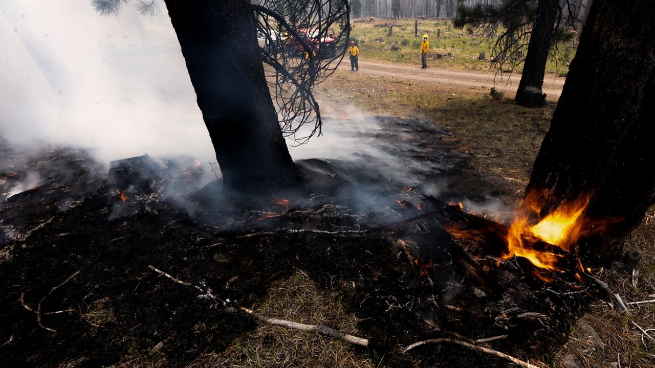 A small brush fires spreads ahead of a containment line near the Northwest edge of the Bootleg Fire near Paisley, Ore. (AP/Nathan Howard)