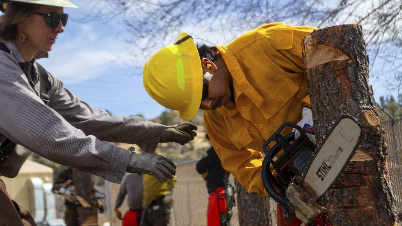 U.S. wildfires are getting bigger and more complex