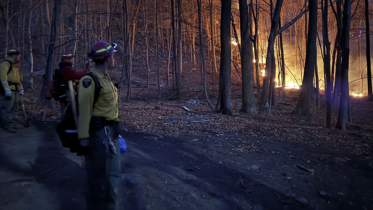 This photo released by the New York State Department of Environmental Conservation shows flames burning as crews work at the Jennings Creek wildfire, in Warwick, N.Y., Saturday, Nov. 16, 2024. (New York State Department of Environmental Conservation via AP)