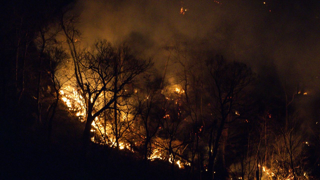 Wildfires burn along the New York and New Jersey border in Greenwood Lake, New York, Wednesday, Nov. 13, 2024. (AP Photo/Eduardo Munoz Alvarez)