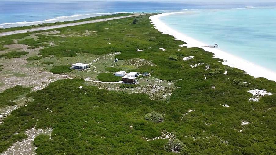 Volunteers will travel to the remote Kure Atoll State Wildlife Sanctuary where transportation is limited and there is no internet or mobile phone service, but the experience to mālama the land and its wildlife will be rewarding. (Photo courtesy Hawaii DLNR)