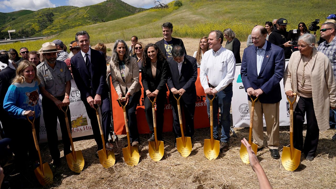 California Gov. Gavin Newsom, third from left, joins other dignitaries during a ground breaking ceremony for the Wallis Annenberg Wildlife Crossing Friday, April 22, 2022, in Agoura Hills, Calif. 