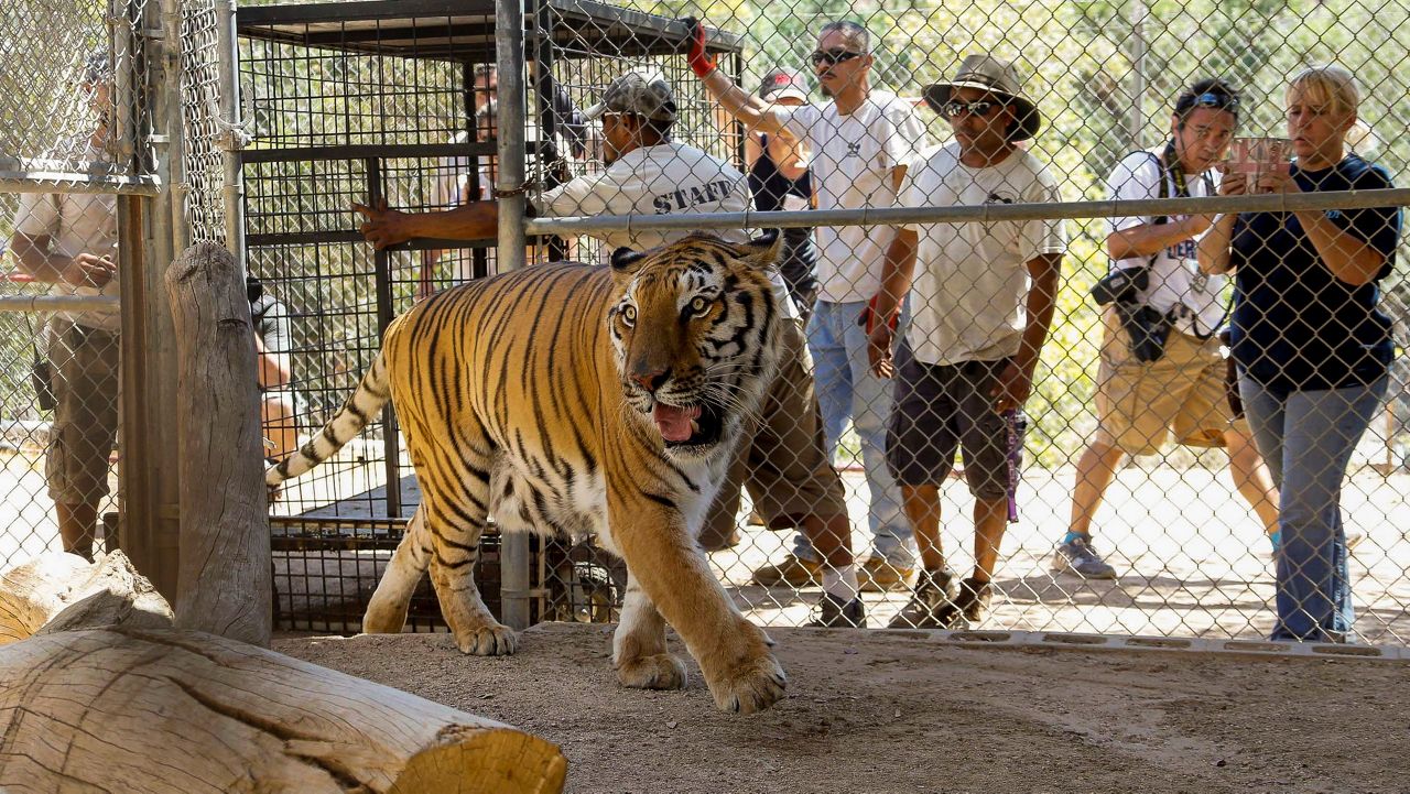 (AP Photo/Nick Ut,File)