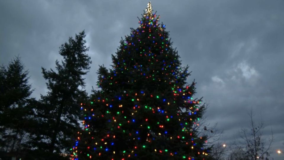Tree Lighting at MLK Park Dedicated to Frontline Heroes