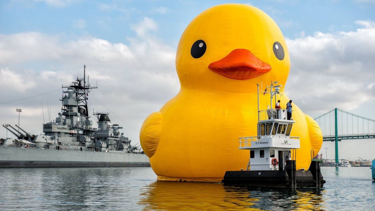 The World's Largest Duck, seen here in San Francisco, will be at Fort Worth's Trinity Park Oct 29-31. Photo courtesy of Big Duck LLC. 