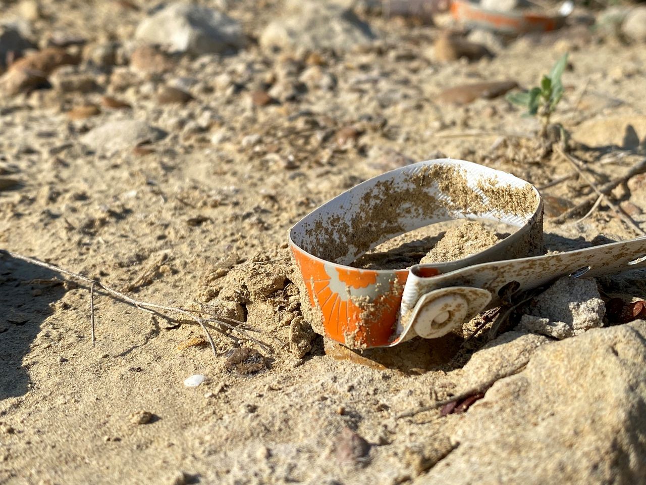 A discarded wristband appears along the U.S.-Mexico border in this image from May 2021. (Spectrum News 1/Adolfo Muniz)