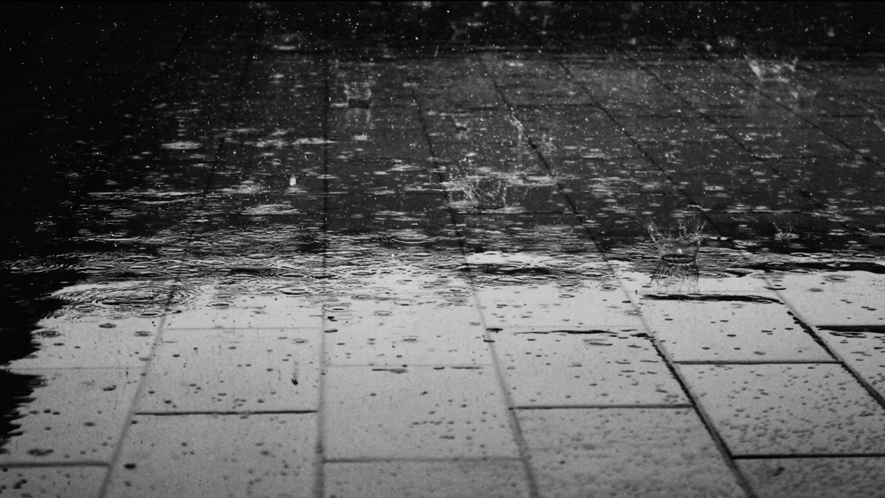 Rain photo
