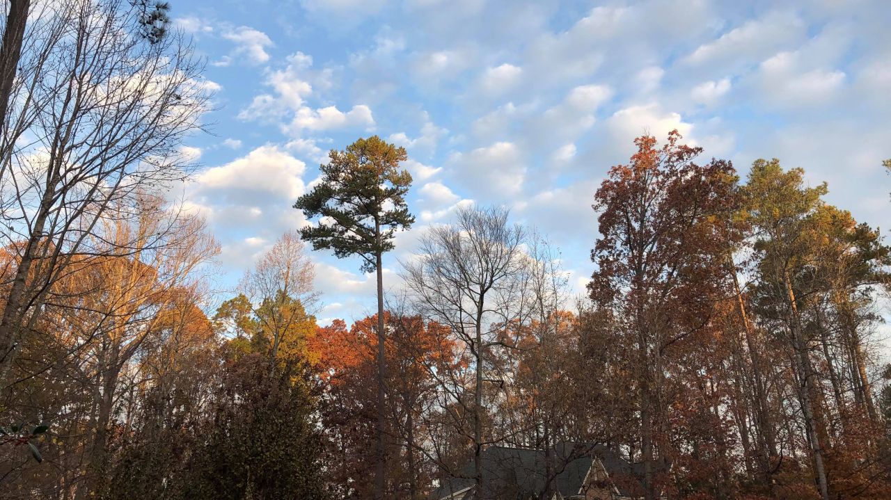 A partly cloudy day from Wake Forest.  Photo by Lou Iuppa.
