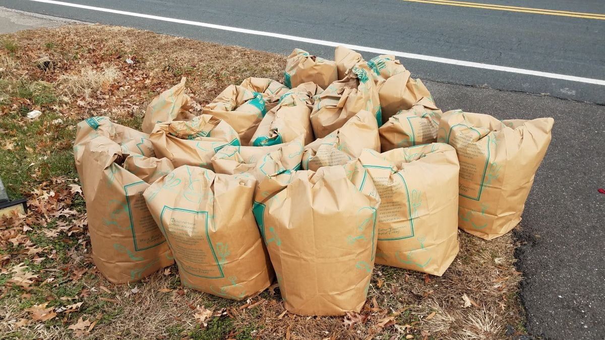 Yard Waste Bag Collection