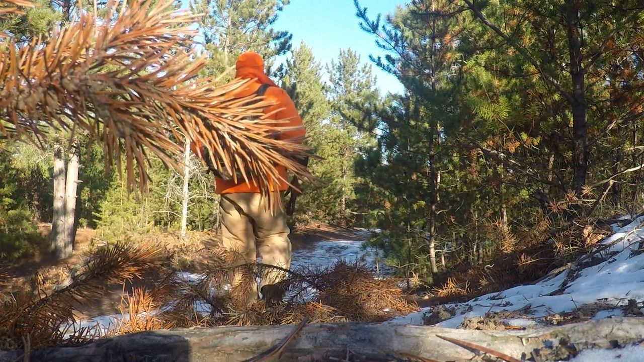 Youth deer hunting weekend opens in Ohio