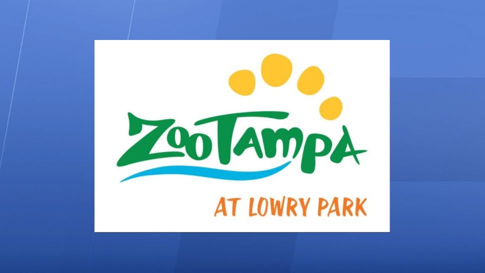 zoo tampa