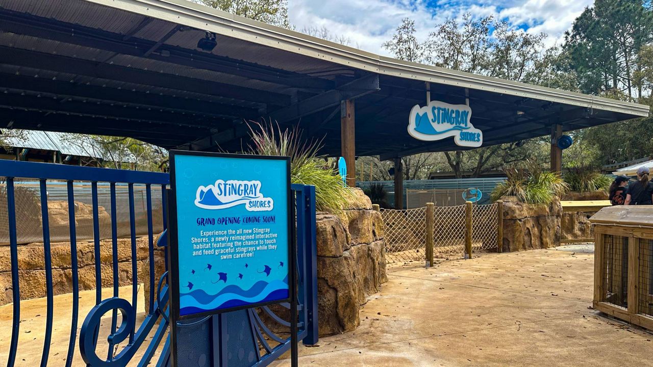 ZooTampa's Stingray Shores launched its soft opening Feb. 27. Official opening dates have yet to be announced. (Photo: ZooTampa at Lowry Park)