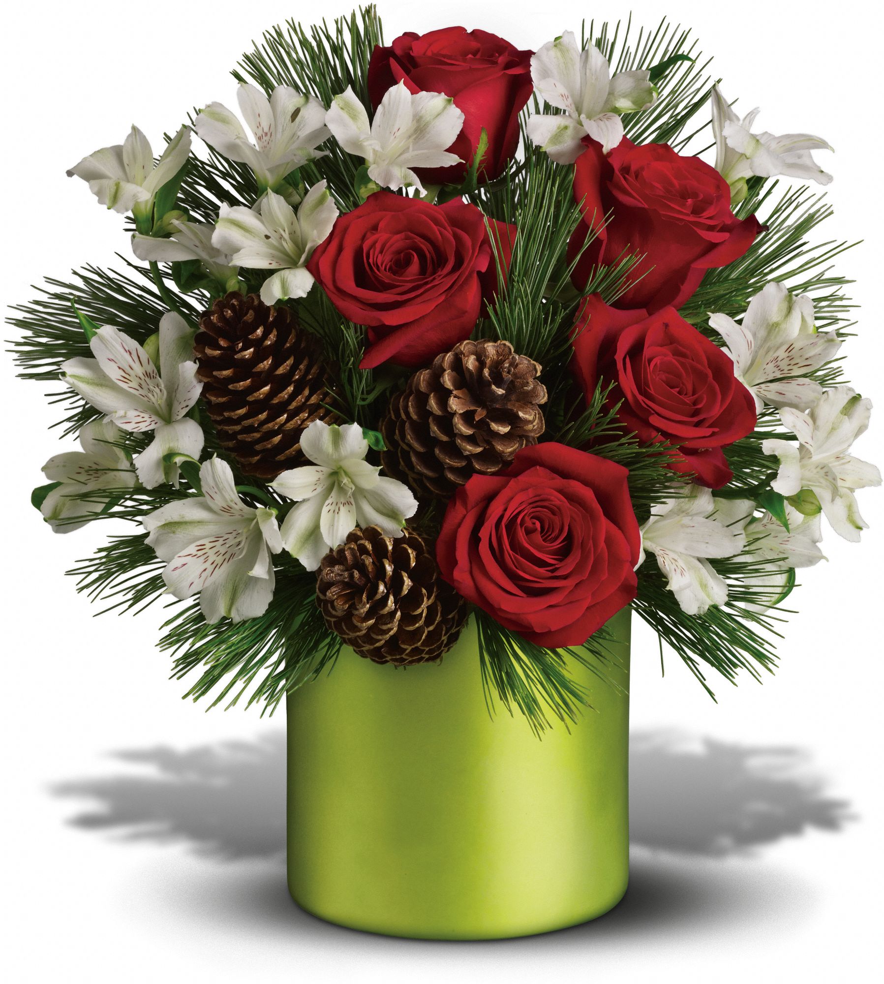 Teleflora’s Christmas Cheer Bouquet Photodrive