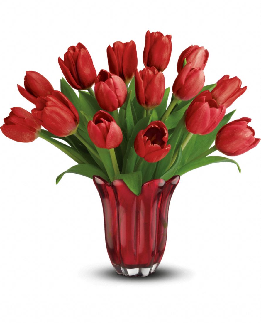 red tulips