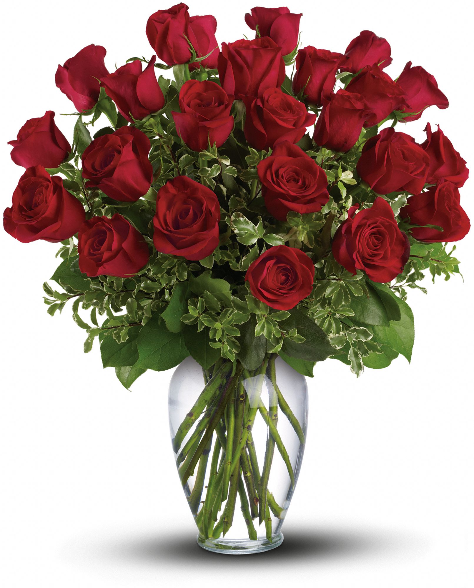 Always On My Mind Pm – Long Stemmed Red Roses | Camido