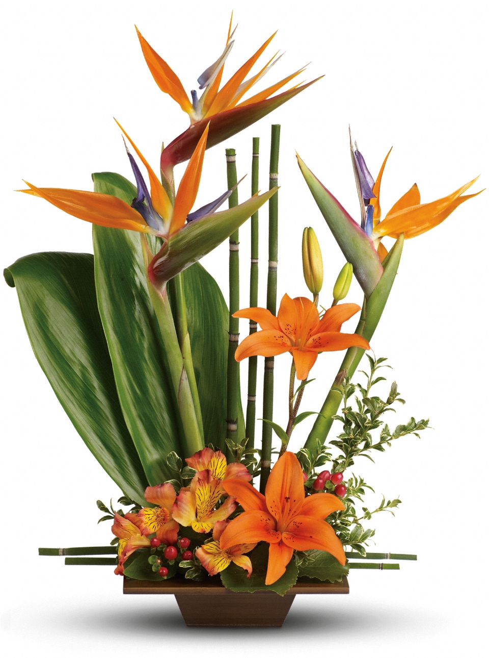 Telefloras Exotic Grace T77 1A   Fresh Flower Delivery  