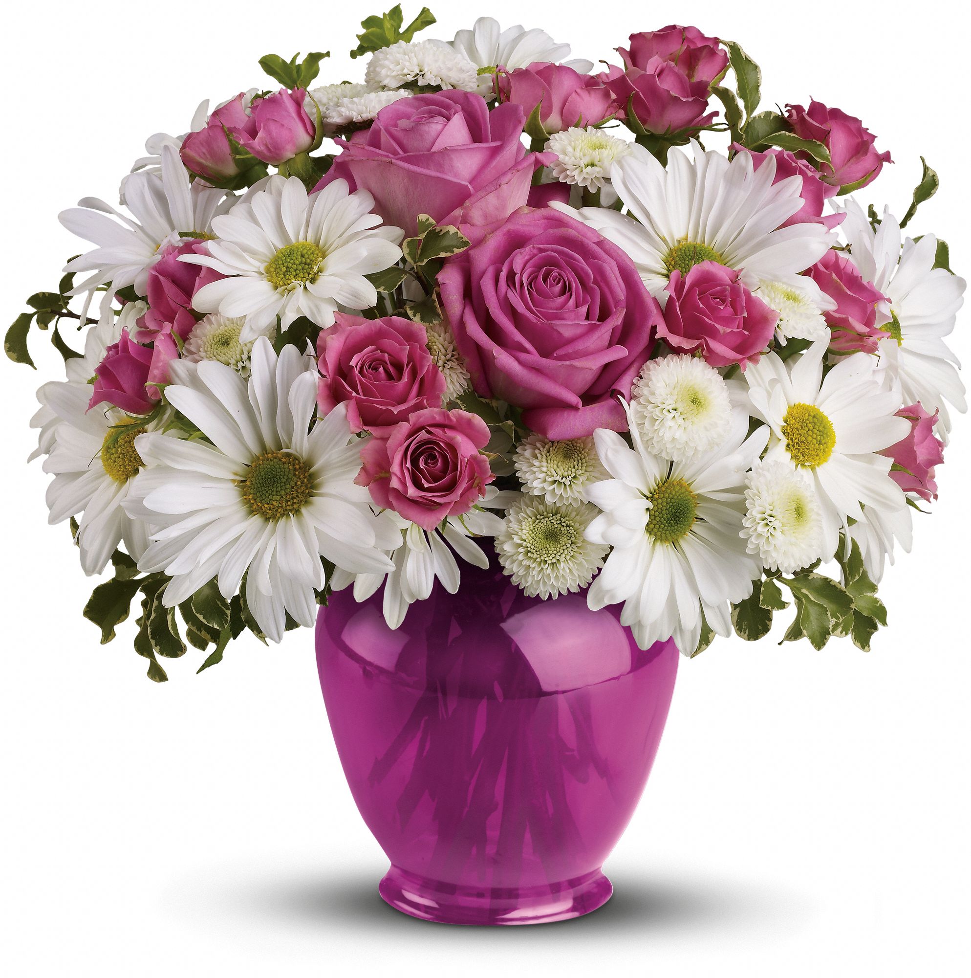 Teleflora’s Pink Daisy Delight Photoverse