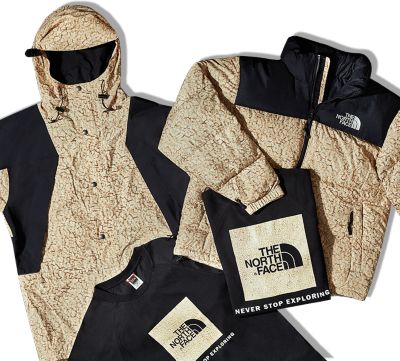 the north face capsule