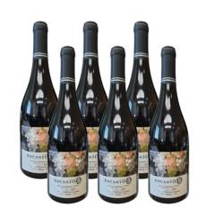 ENCANTO - Caja de vino premium pais - 6 UN X 750 CC
