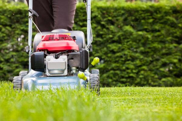 What to use to cut online grass