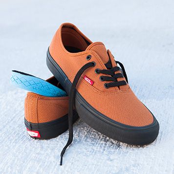 Vans authentic 2025 pro dakota roche