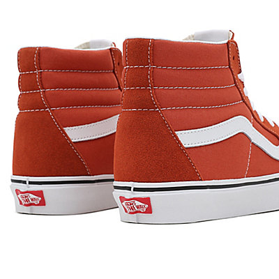 Color Theory Sk8-Hi Schuhe