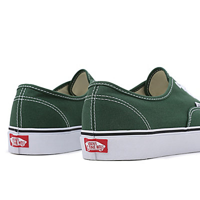 Chaussures Color Theory Authentic